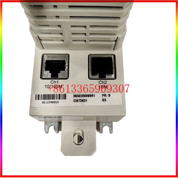 CI873K01 3BSE058899R1 励磁冗余module