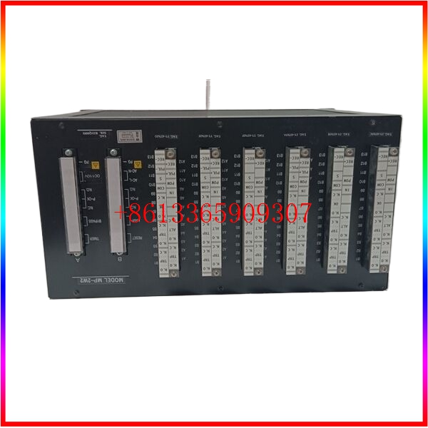 SHINKAWA MP-2W2 励磁冗余module
