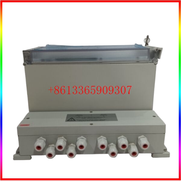 BERTHOLD LB4460 励磁冗余module
