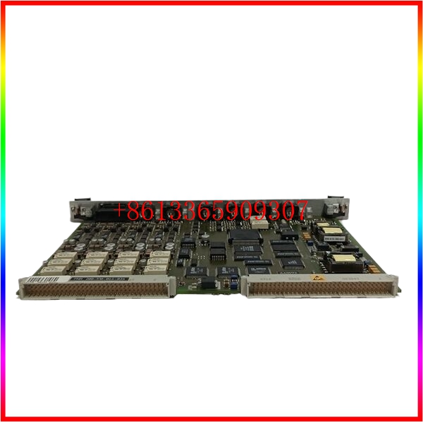Vibro-meter 200-510-100-034 励磁冗余module