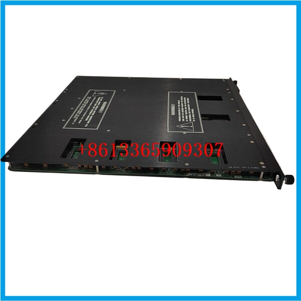 TRICONEX 3006励磁冗余module