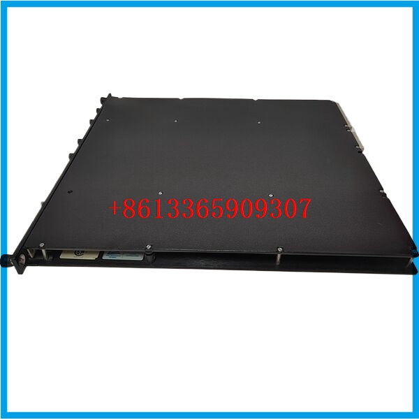 TRICONEX 4200励磁冗余module