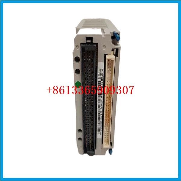 EMERSON  1C31113G01 励磁冗余module